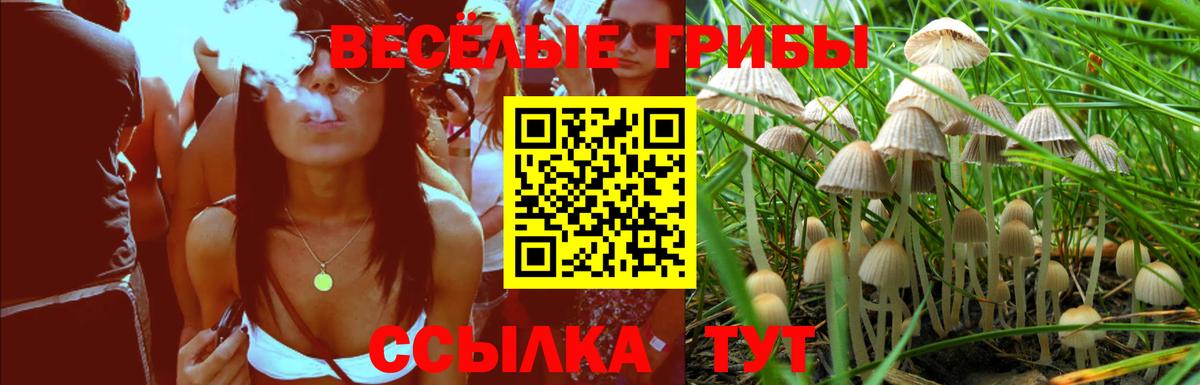 Майкоп  Галлюциногенные грибы MAGIC MUSHROOMS  Псилоцибиновые грибы Psilocybine cubensis  Вход с VPN 